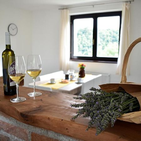 House Narta - Rastoke Apartman Szluin Kültér fotó