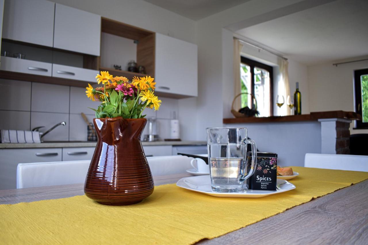 House Narta - Rastoke Apartman Szluin Kültér fotó