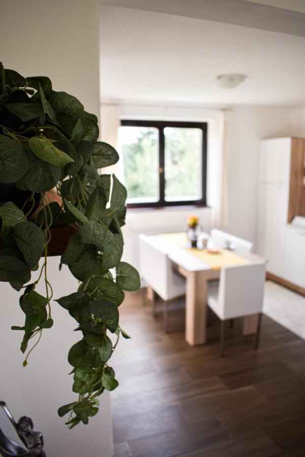 House Narta - Rastoke Apartman Szluin Kültér fotó