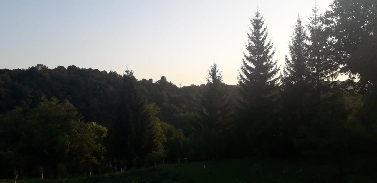 House Narta - Rastoke Apartman Szluin Kültér fotó
